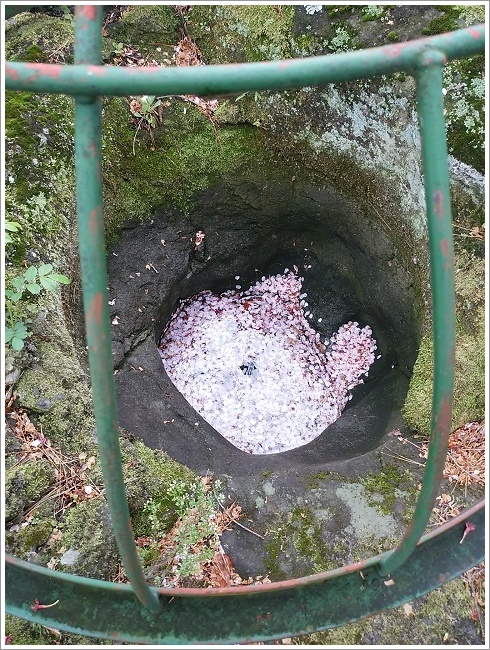 かに石甌穴の中