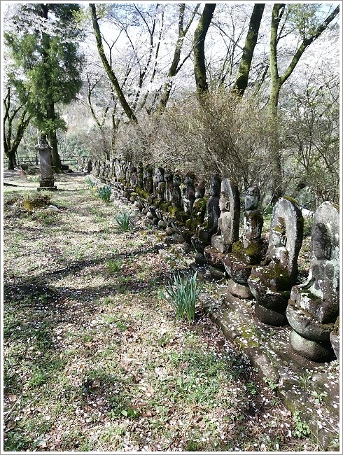 たくさん並ぶ松之沢の百観音