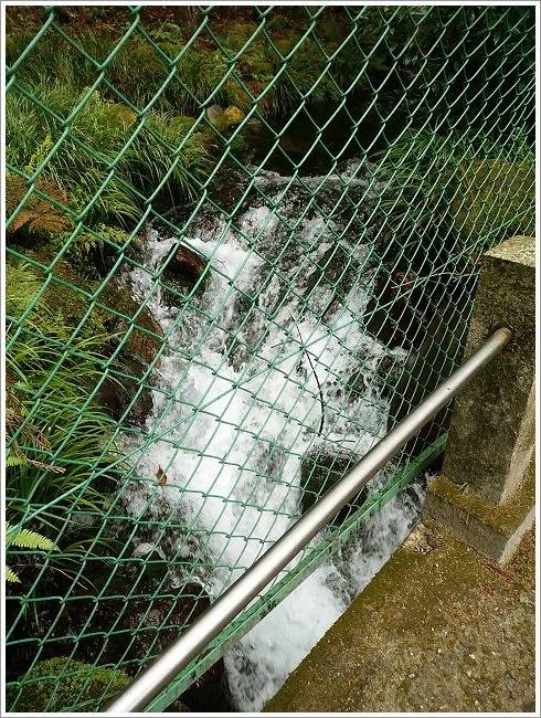 どんどん湧き出す箱島湧水
