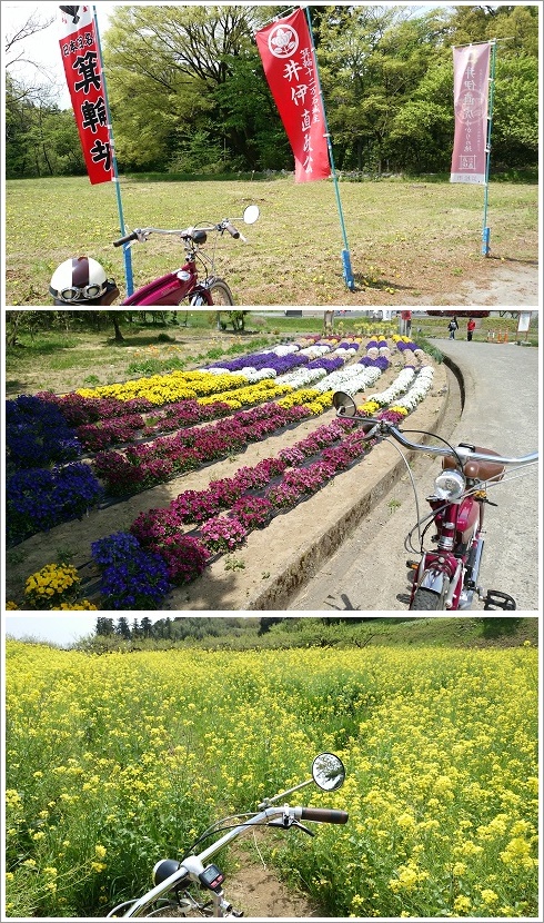 みさと芝桜公園近隣スポットの箕輪城址跡
