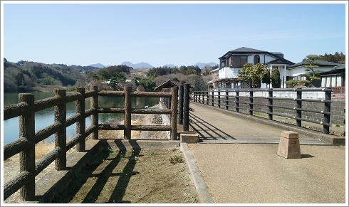 わかさぎ釣り場の鳴沢湖畔の遊歩道