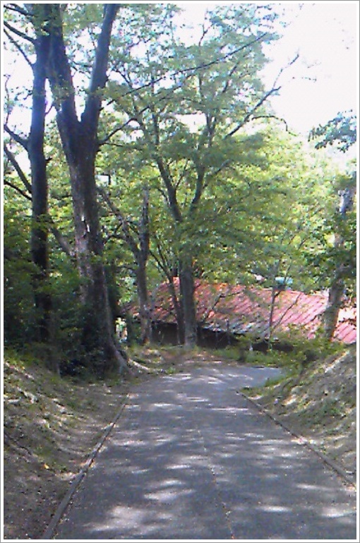 ジャパンスネークセンター園内に向けての下り坂