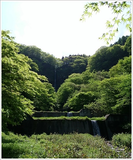 マイナスイオンが感じられる船尾滝