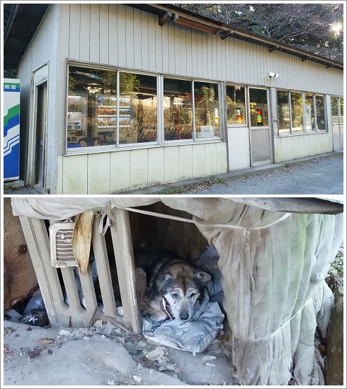 丸美屋 - きりんの身体検査くん☆丸美屋景品☆レア・希少品