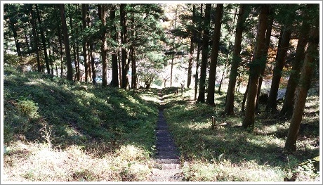 仙人窟に続いている山道