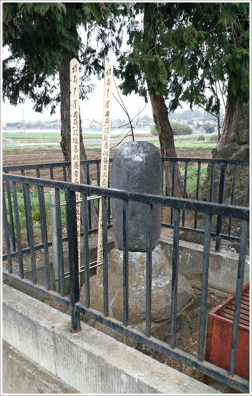 囲われている国定忠治のお墓