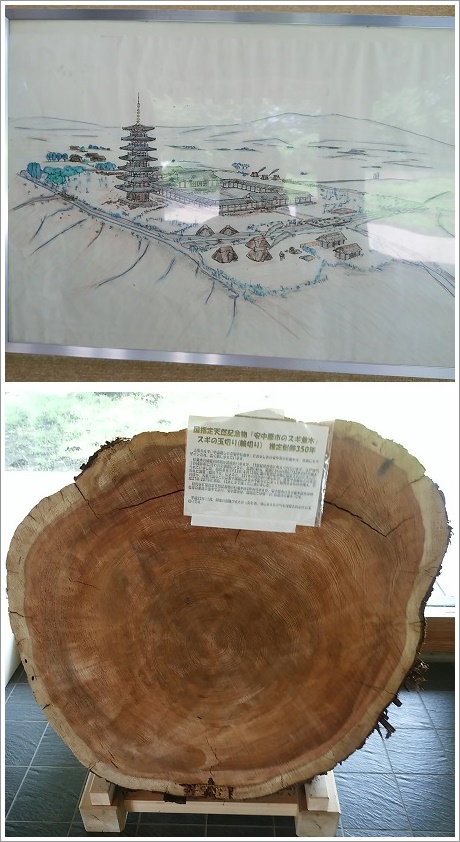 国分寺跡ガイダンス施設の上野国分寺館