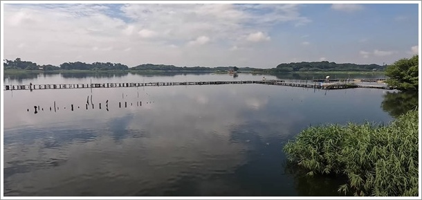 多々良沼釣り場