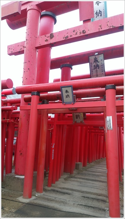奉納と書いてある小泉稲荷神社の鳥居