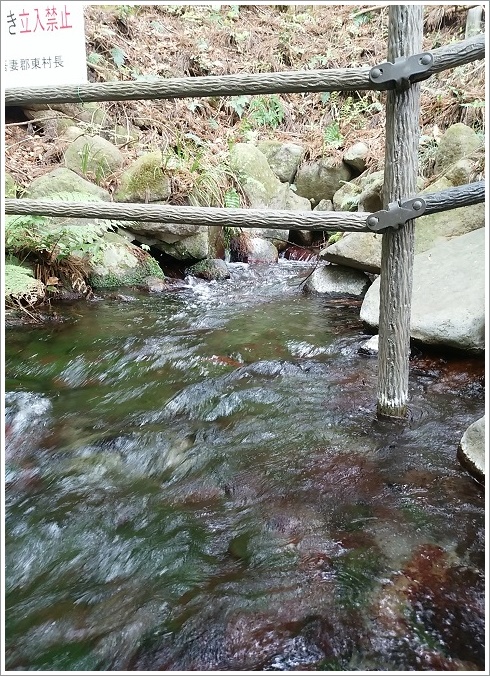 岩の間から吹き出す箱島湧水