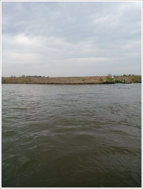 島村渡船場の向こう岸