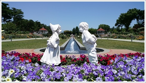 敷島公園ばら園の園内中央のモダンローズガーデン