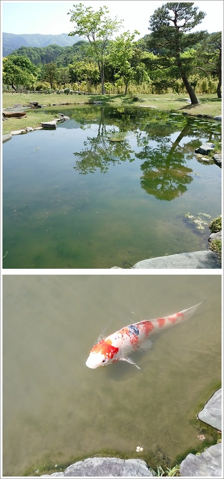 楽山園（らくさんえん）昆明池