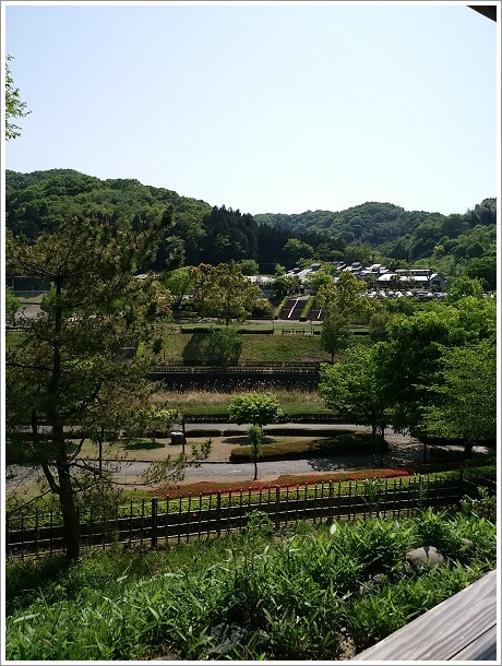 楽山園（梅の茶屋）から見える景色（庭園裏方向）