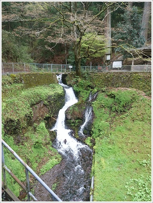 水量豊富な箱島湧水