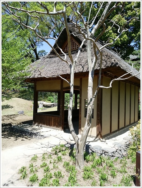 池に茅葺き屋根