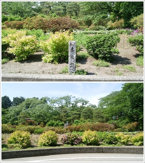 沼田城址本丸跡