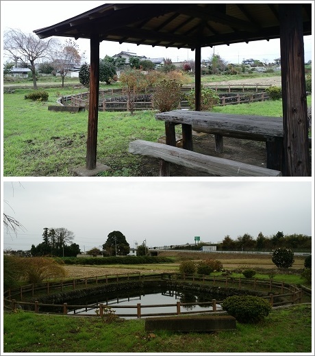 湧水あまが池の全体画像