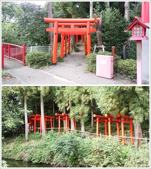 烏子稲荷神社の建ち並ぶ鳥居