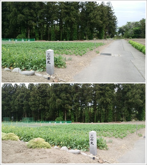 白井城址跡二の丸