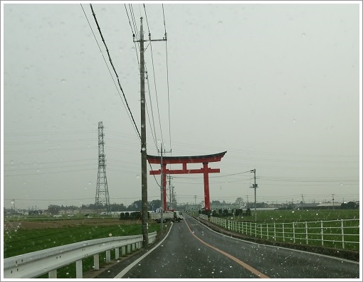 県内一の高さを誇る小泉稲荷神社の鳥居