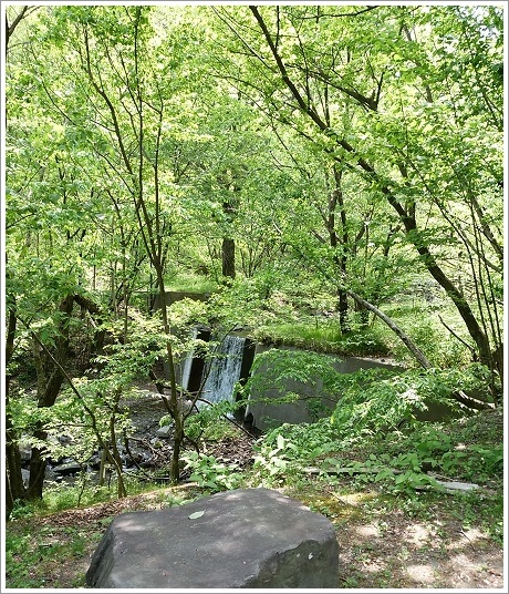 紅葉がキレイそうな船尾滝に続く遊歩道です