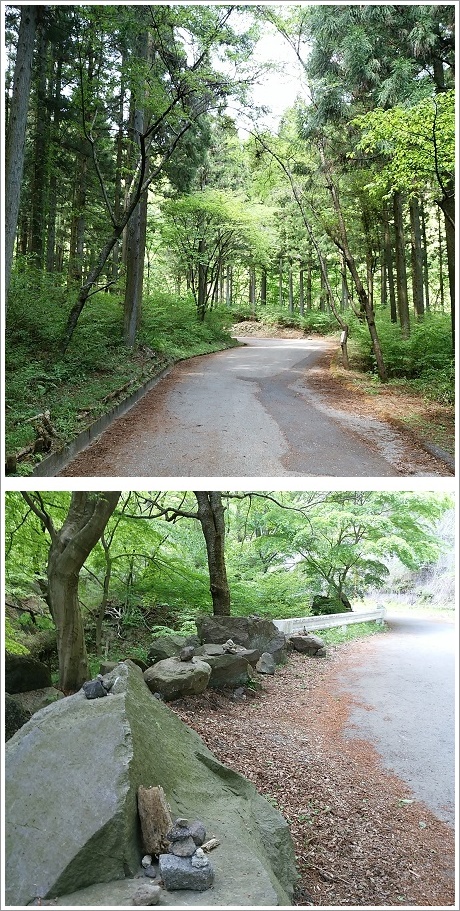 船尾滝に続く遊歩道です