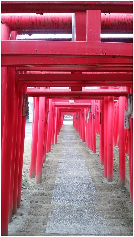 葬儀社の奉納鳥居のトンネル