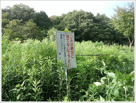 赤城のおばけ坂（ゴミは捨てるなの看板）