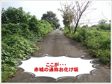 通称、群馬県赤城山のおばけ坂