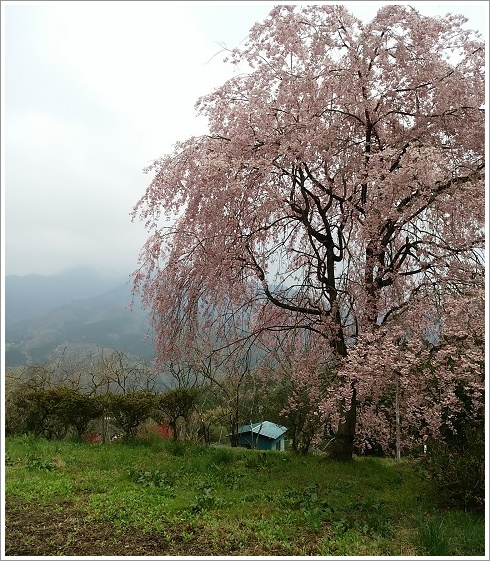 駐車場から見える景色