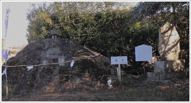 鼻毛石の鼻石全体